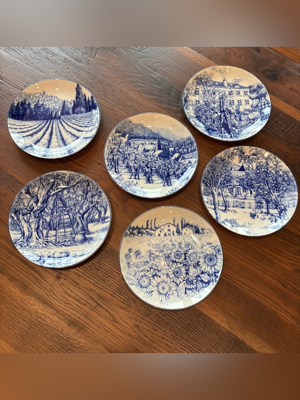 Vintage Plates,Rare LES DOMAINES Williams Sonoma Blue/White Dessert Set Of 6, 8” - Picture 9 of 13